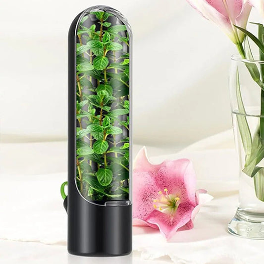 Boite de Rangement de Cuisine - VeggieCrisp™ - Noir - Range ta cuisine