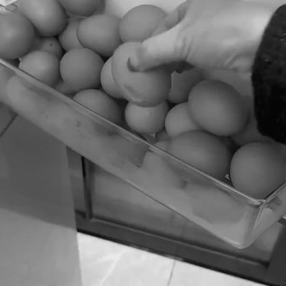 La Boîte à Œufs